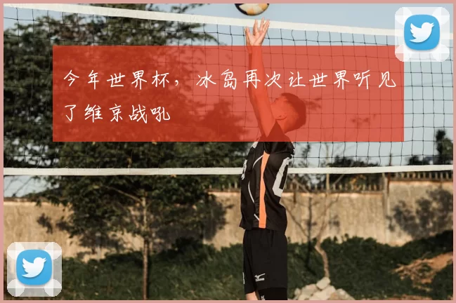 今年世界杯，冰岛再次让世界听见了维京战吼