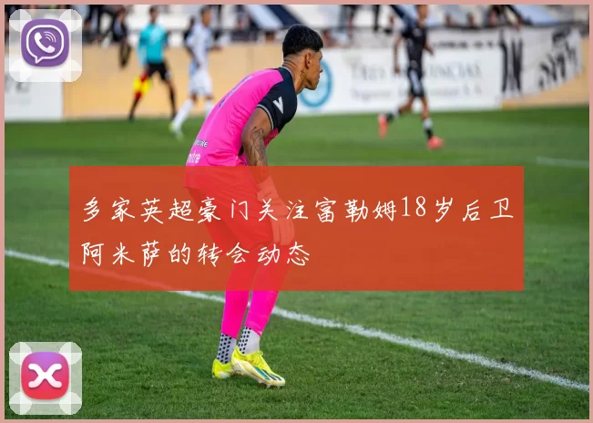 多家英超豪门关注富勒姆18岁后卫阿米萨的转会动态