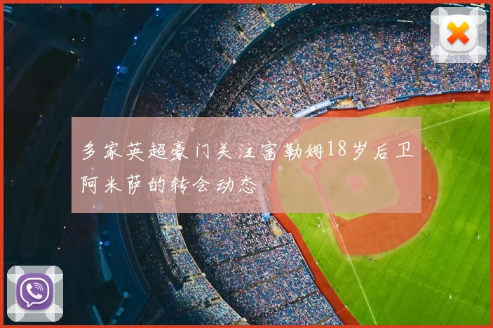 多家英超豪门关注富勒姆18岁后卫阿米萨的转会动态