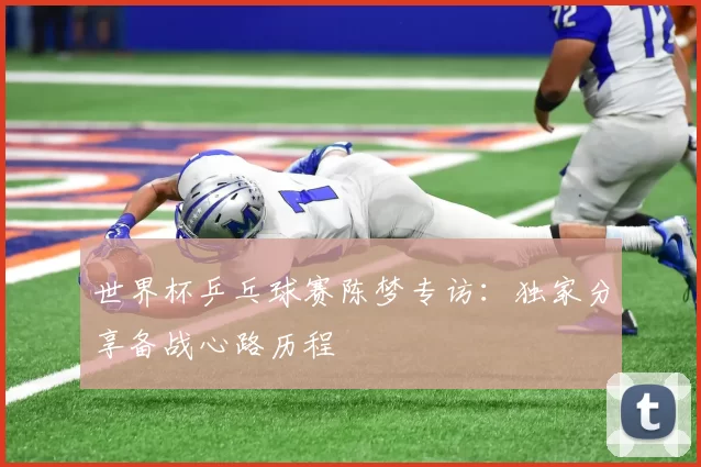 世界杯乒乓球赛陈梦专访：独家分享备战心路历程