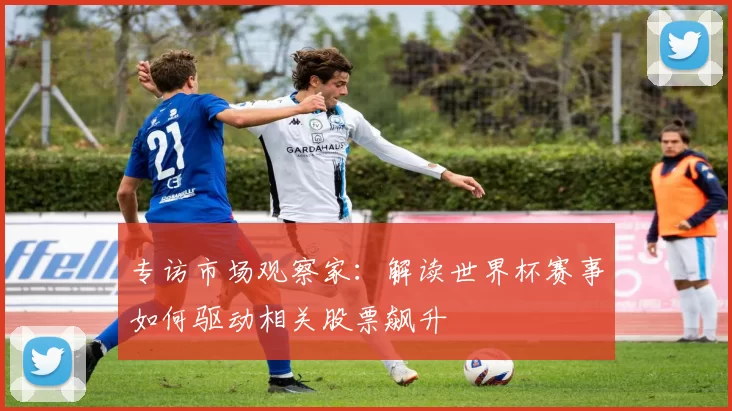 专访市场观察家:解读世界杯赛事如何驱动相关股票飙升