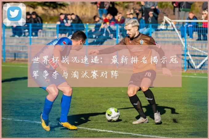 世界杯战况速递：最新排名揭示冠军争夺与淘汰赛对阵