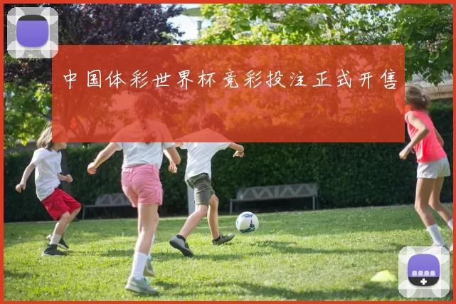 中国体彩世界杯竞彩投注正式开售