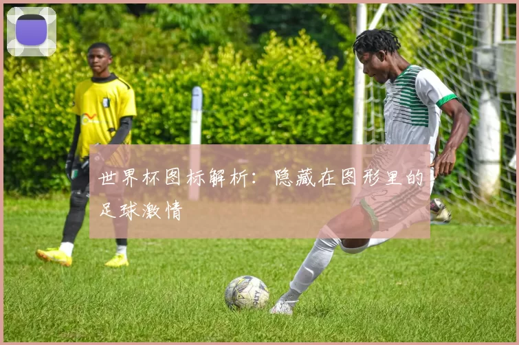 世界杯图标解析:隐藏在图形里的足球激情