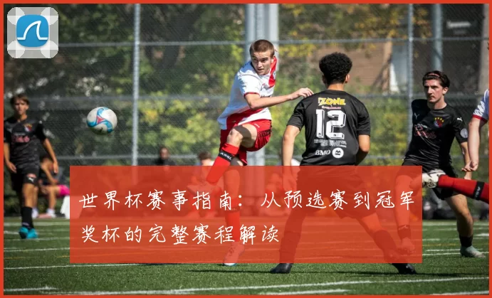 世界杯赛事指南：从预选赛到冠军奖杯的完整赛程解读