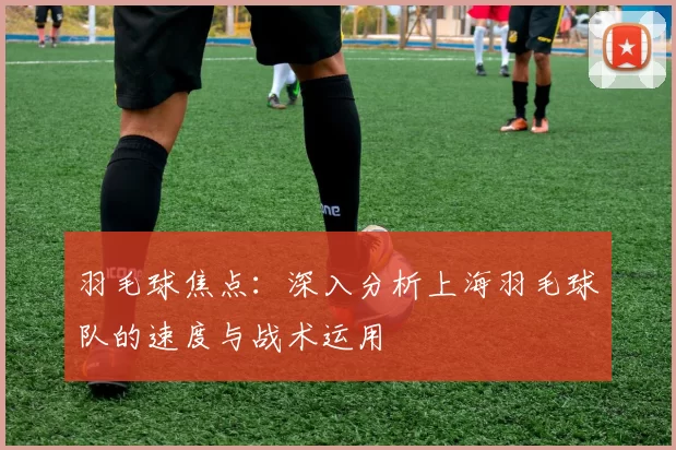 羽毛球焦点:深入分析上海羽毛球队的速度与战术运用