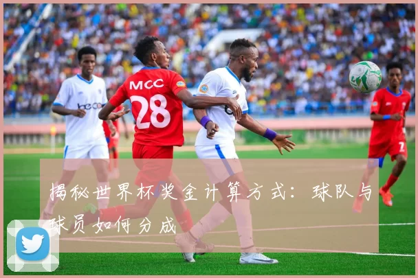 揭秘世界杯奖金计算方式：球队与球员如何分成