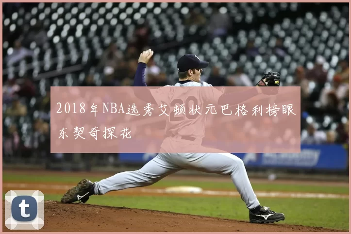2018年NBA选秀艾顿状元巴格利榜眼东契奇探花