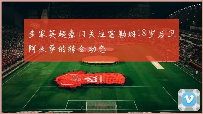 多家英超豪门关注富勒姆18岁后卫阿米萨的转会动态