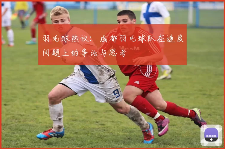 羽毛球热议：成都羽毛球队在速度问题上的争论与思考