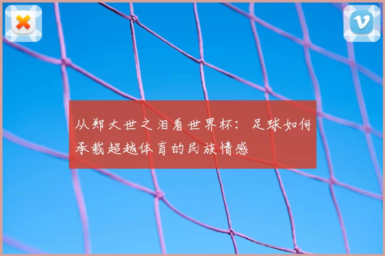 从郑大世之泪看世界杯：足球如何承载超越体育的民族情感
