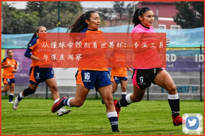 从懂球帝预测看世界杯：专业工具与深度洞察