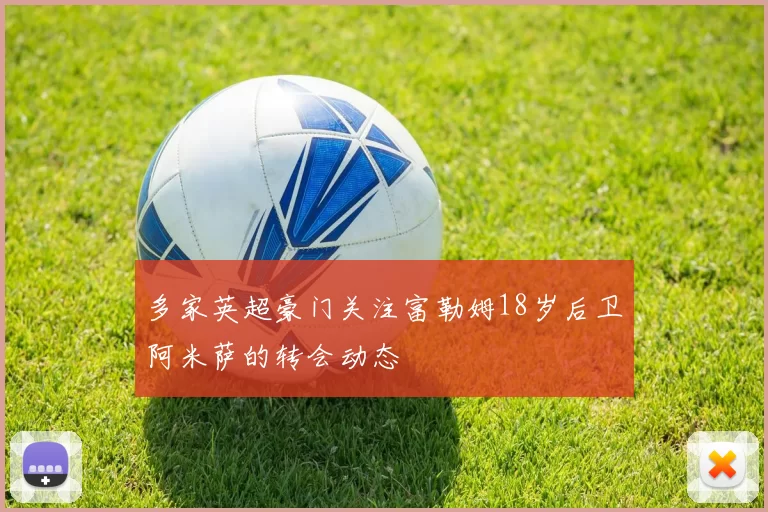 多家英超豪门关注富勒姆18岁后卫阿米萨的转会动态