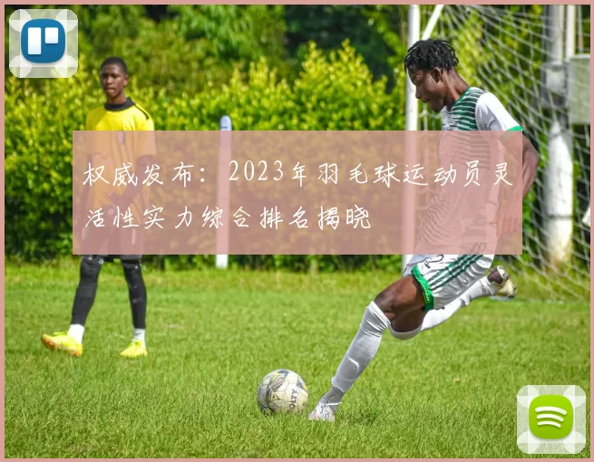 权威发布：2023年羽毛球运动员灵活性实力综合排名揭晓