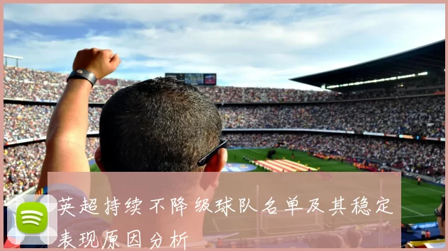 英超持续不降级球队名单及其稳定表现原因分析