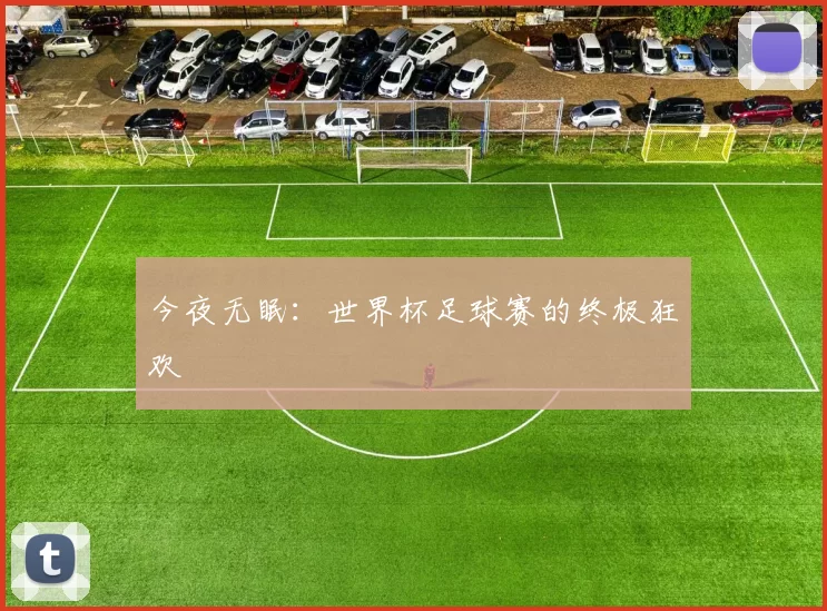 今夜无眠:世界杯足球赛的终极狂欢