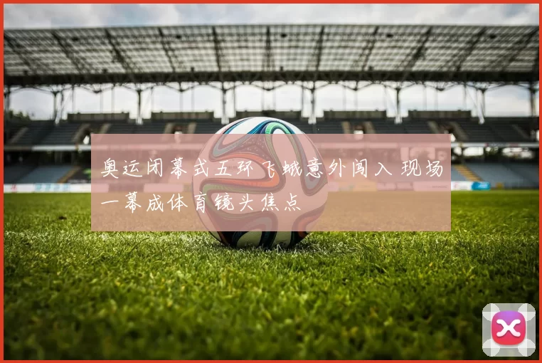 奥运闭幕式五环飞蛾意外闯入 现场一幕成体育镜头焦点